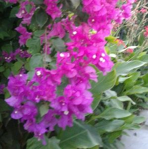 Meet your Posher, Sonia